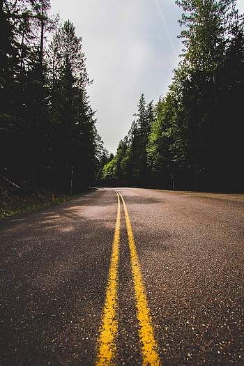 Nature, Trees, Road, Markup, Journey HD phone wallpaper