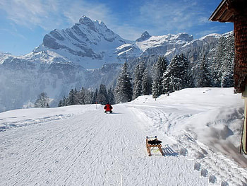 Let Go Sledding, sledding, sky, snow, mountain HD wallpaper