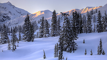 Landscape, Trees, Mountains, Snow HD wallpaper