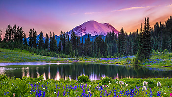 Mountain paradise, colorful, tranquility, beautiful, spring, serenity, lake, mountain, suneset, wildflowers, reflection, sky, peak, calmness HD wallpaper