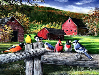 Songbird Friends FC, Goldfinch, animal, avian, painting, songbirds, bird, art, Bluebird, Blue Jay, beautiful, illustration, Chickadee, artwork, Cardinal, wide screen, wildlife, Oriole, nature, Rosebreasted Grosbeak HD wallpaper
