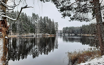 Winter Lake in Latvia, Latvia, winter, calm, lake HD wallpaper
