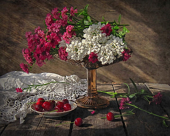 still life, iberis, vase, flowers, lace HD wallpaper