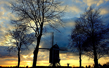 Nature, Trees, Sky, Twilight, Dusk, Outlines, Evening, Mill, Serenity HD wallpaper