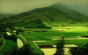 Landscape High Resolution Full Ultra 16k . HD wallpaper