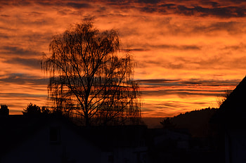 Gold Light Autumn Sunset , nature, autumn, sunset, graphy HD wallpaper
