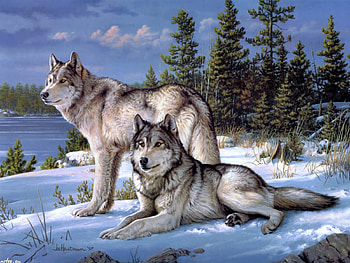 Joseph Hautman, los lobos, Joseph Hautman, wolf, art, snow HD wallpaper