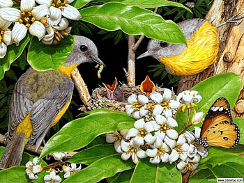 Bird family, sweet, parents, bird, family, flower, baby HD wallpaper