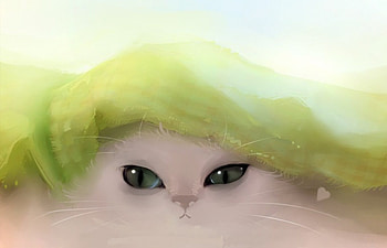 White Cat, animal, white, green, cute, cat HD wallpaper