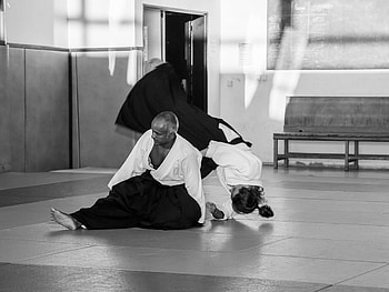 Aikido moments, La Roseraie dojo, Toulouse practice, Captivating visuals HD wallpaper