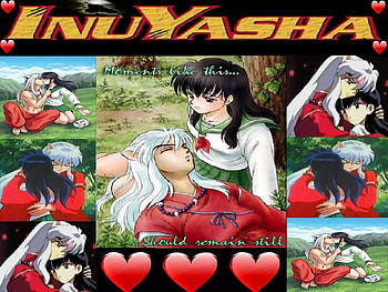 inuyasha love, inuyasha HD wallpaper