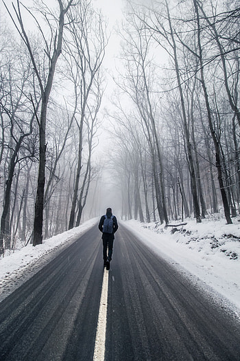 Nature, Trees, Snow, Road, Fog, Human, Person, Loneliness HD phone wallpaper