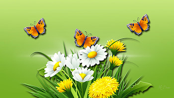 Spring, butterflies, summer, green, grass, dandelions, daisies HD wallpaper