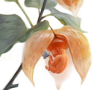 Physalis baby by Veronika Fedorova, art, baby, orange, veronika fedorova, fantasy, physalis, yellow, fruit, luminos, child HD wallpaper