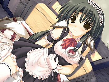 Anime, ears, gloves, maid dress, tail HD wallpaper