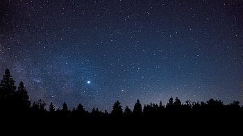 Trees, Universe, Dark, Starry Sky HD wallpaper