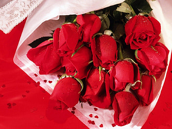 Roses bouquet, bouquet, roses, love, red HD wallpaper