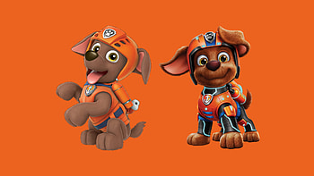 Zuma, Paw Patrol HD wallpaper
