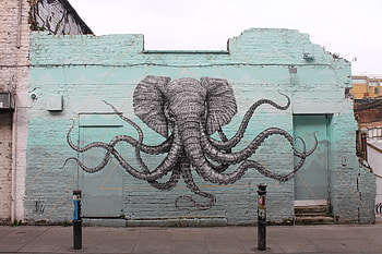 Elephant, octopus, wall art HD wallpaper