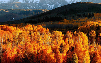 Nature, Trees, Mountains, Autumn, Gold, Shine, Light, Hills, October, Slopes HD wallpaper