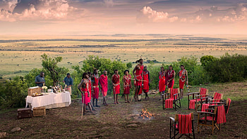 Discover the Masai Mara, Kenya, Serengeti and Beyond HD wallpaper