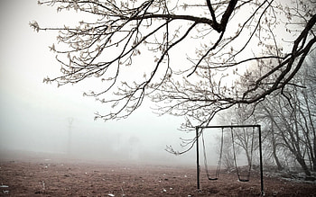 Swing, Nature, Ice, Wood, Tree, Fog, Branches, Branch, Frost, Cold, Emptiness, Void HD wallpaper