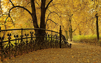 Nature, Trees, Autumn, Leaves, Park, Bridge, Railings, Handrail HD wallpaper