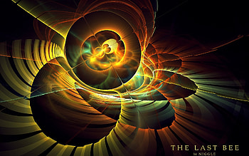 The Last Bee, circles, digital art, fractal, abstract HD wallpaper