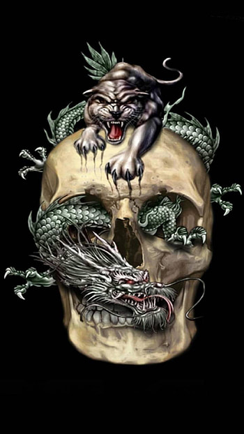 dragon, dark, skull HD phone wallpaper