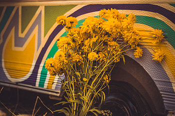 Flowers, Bright, Bouquet HD wallpaper