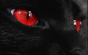 ... ; backgrounds for red snake eyes with black backgrounds www ... HD wallpaper