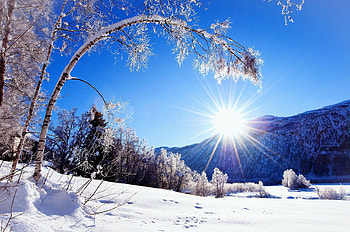 Clear Winter Morning, trees, mountains, sun, snow HD wallpaper