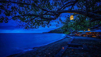 Beach at Night, Resort, Night, Light, Coast HD wallpaper