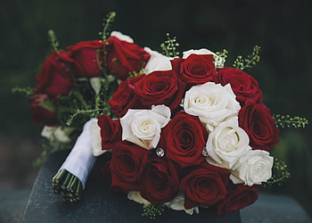 Flowers, Roses, Bouquet, Composition HD wallpaper