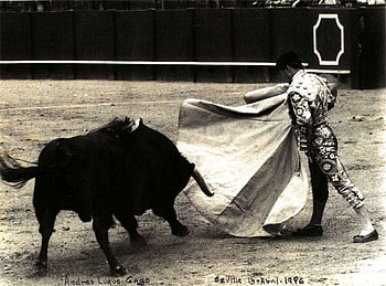 Bull Fighter, other, bull, people, fun HD wallpaper