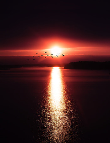 Sunset, reflections, birds, shine HD phone wallpaper
