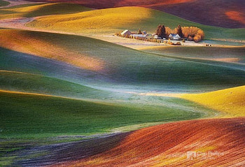 Coloured fields, colored, , , colors, houses, coloured, pic, field, nature, wall HD wallpaper