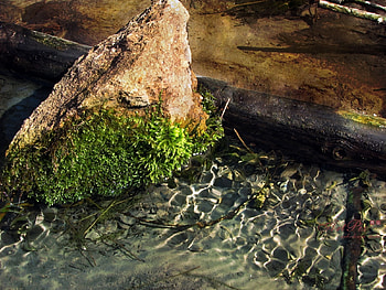 Landscape, Water, Stones HD wallpaper