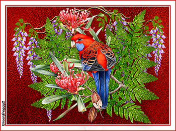 PARROT AND FERNS, ART, PARROT, , ABSTRACT HD wallpaper