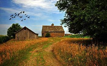 Farm HD wallpaper