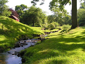 nice and peaceful site for a picnic, sunshining, beautiful, color grass, green HD wallpaper