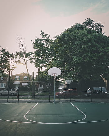 A serene basketball court in a leafy neighborhood as the sun sets, captured from a front view. HD phone wallpaper