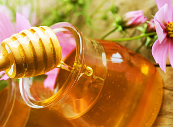 Flowers, Food, Sweet, Honey HD wallpaper