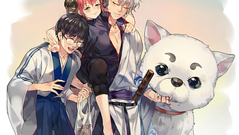 Gintama series, Kagura, Sadaharu, Shimura Shinpachi HD wallpaper