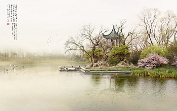 Nature, Birds, Hieroglyph, Lake, Shore, Bank, Haze, China, Alcove, Bower, Dictum HD wallpaper