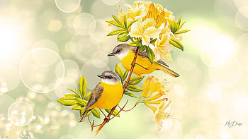 Birds N Blooms, bokeh, birds, blossoms, yellow, flowers, blooms, gold HD wallpaper
