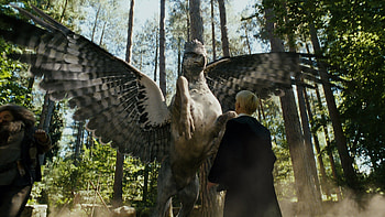 Buckbeak, Movie HD wallpaper