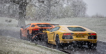 Lambos In The Snow, lamborghini-aventador, lamborghini, cars HD wallpaper