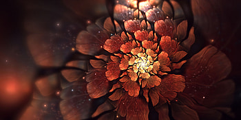 Fractal, Abstract, Flower, Glare, Glow HD wallpaper