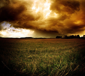 Autumn Commercial, fields, autumn, cloudy, lovely HD wallpaper